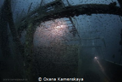 Wreck Mohammed Hasabella, Glasslfish close the stern. by Oxana Kamenskaya 